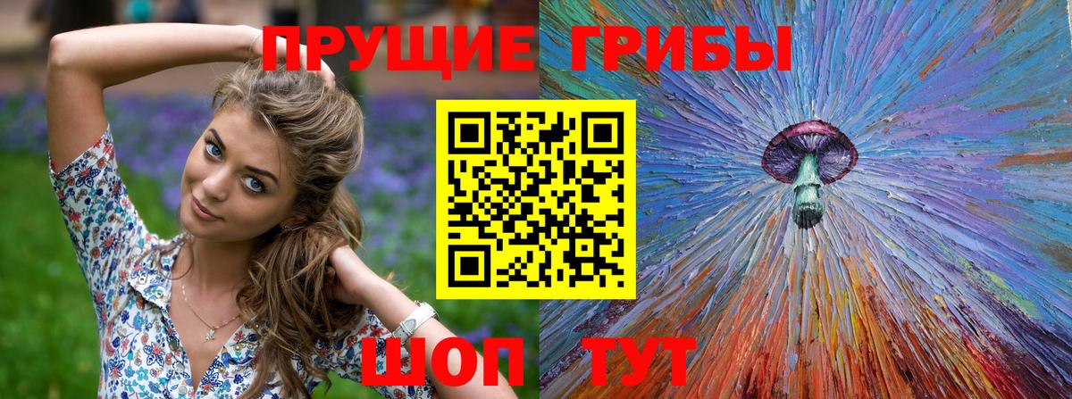 Псилоцибиновые грибы GOLDEN TEACHER Куйбышев